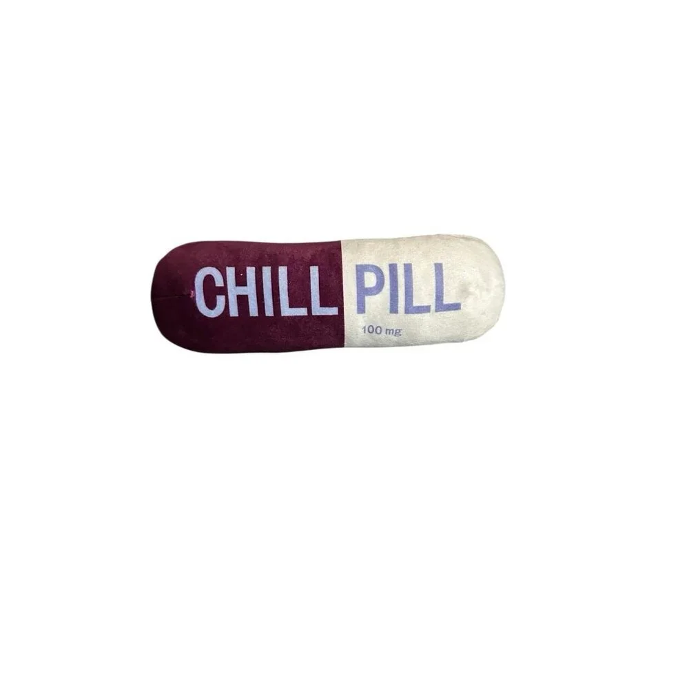 NEW dog chew toy‎ plush with squeaker chill pill